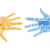 Photo for Opioid Settlement Grant Application
